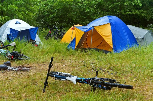 Découvrez la sérénité au camping le marais sauvage