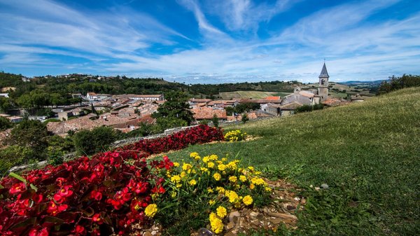 Découvrez le camping argeles sur mer : détente et loisirs garantis