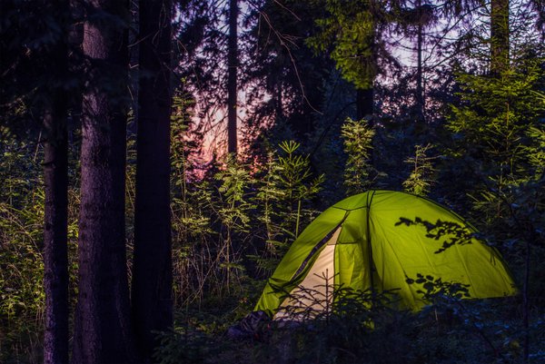 Camping écologique morbihan : découvrez le refuge de kergo