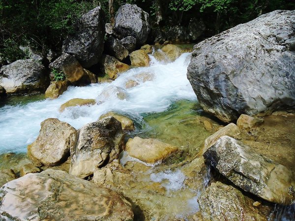 Découvrez le camping familial Eldapi Vacances à La Palmyre en Charente Maritime